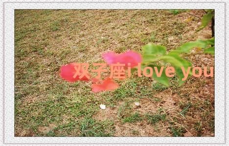 双子座i love you